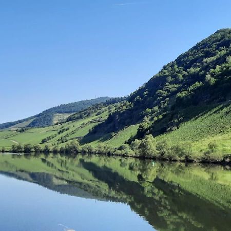 Ferienwohnung Roter Riesling Zell an der Mosel Exterior photo