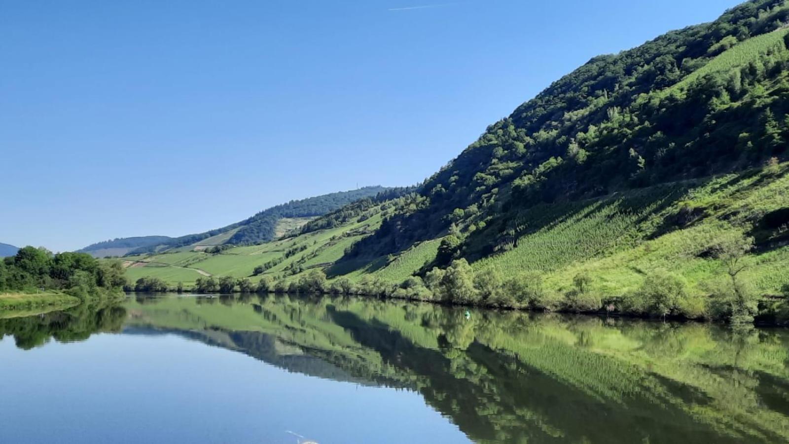 Ferienwohnung Roter Riesling Zell an der Mosel Exterior photo